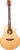 529318 529318