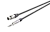 123620