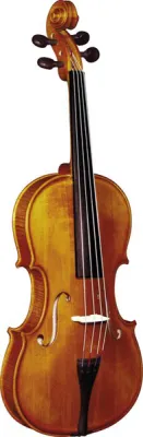 45542