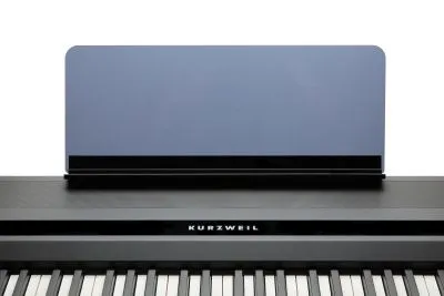 255037
