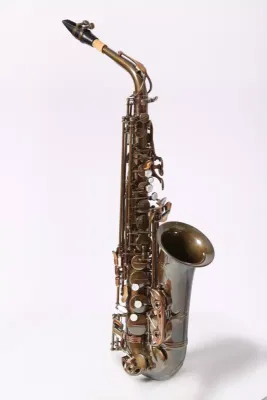 546817