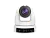 617065