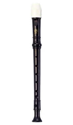 51109