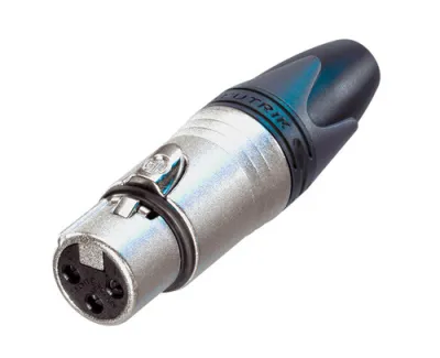 590129
