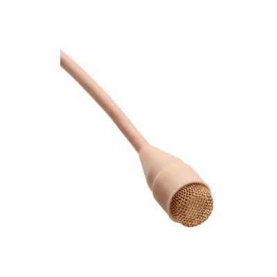 290141
