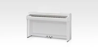 278010