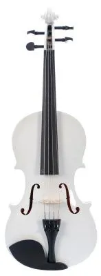 502538