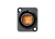 529795