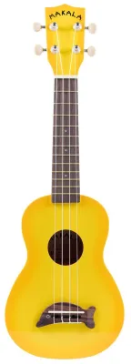 166884