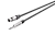 123616