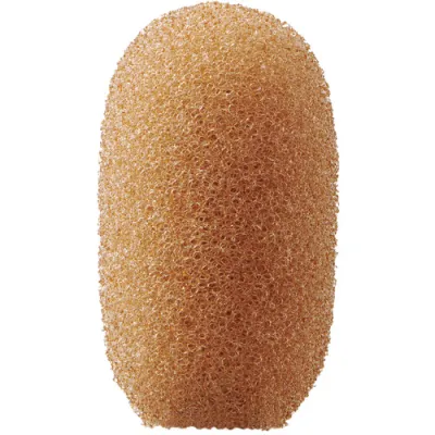 244949