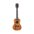 661546