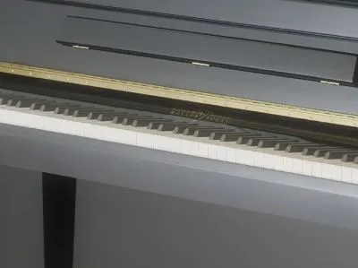 254976
