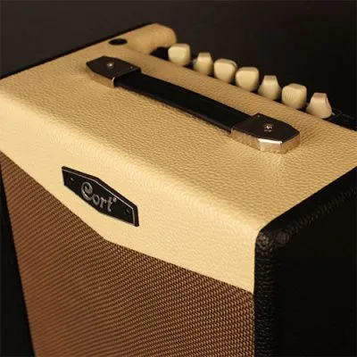 55073
