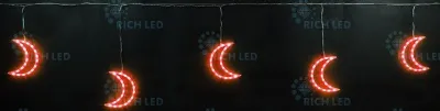 293234