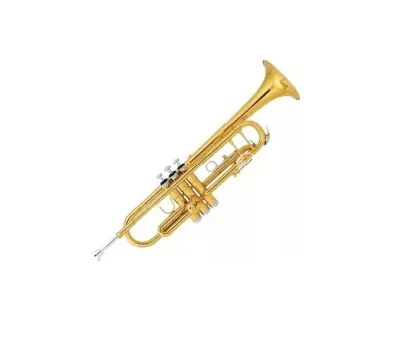 321068