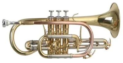 398772