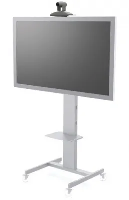 334805