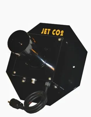 491955
