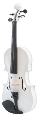 502529