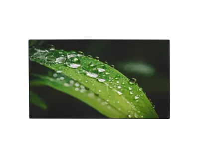 538551
