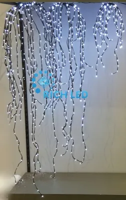293016