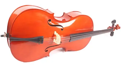 54557