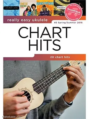 295233