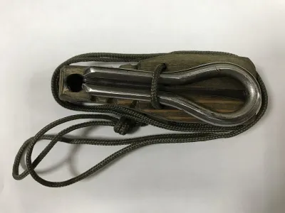 245523