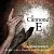 457167
