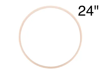162559