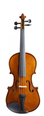 286039