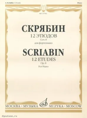 294863