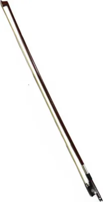 255694
