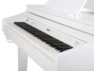 200004