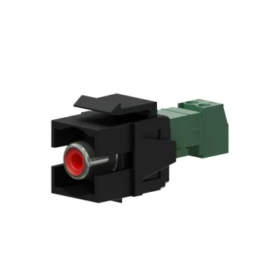 555910