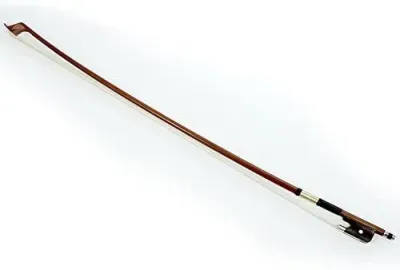 255684