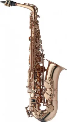 423161