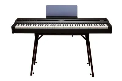 255037