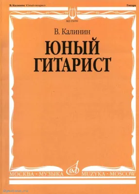 295565