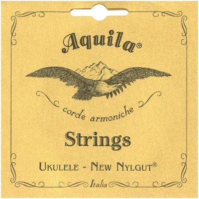 256329