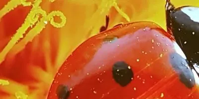332565