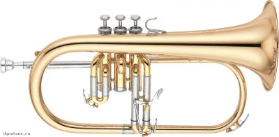 285570