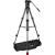439341