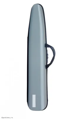 284751