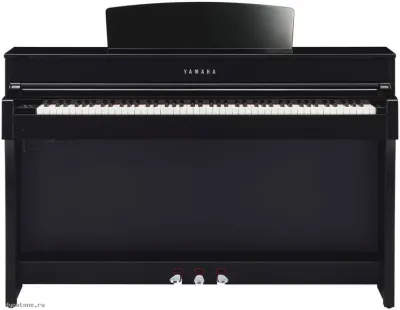 278143