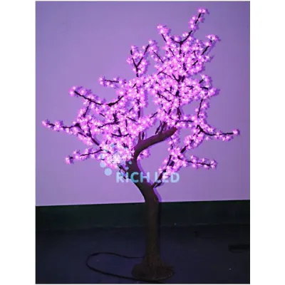 293009