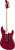 194666