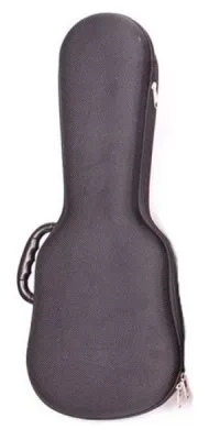 256353