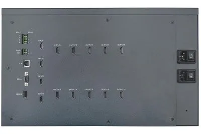503599